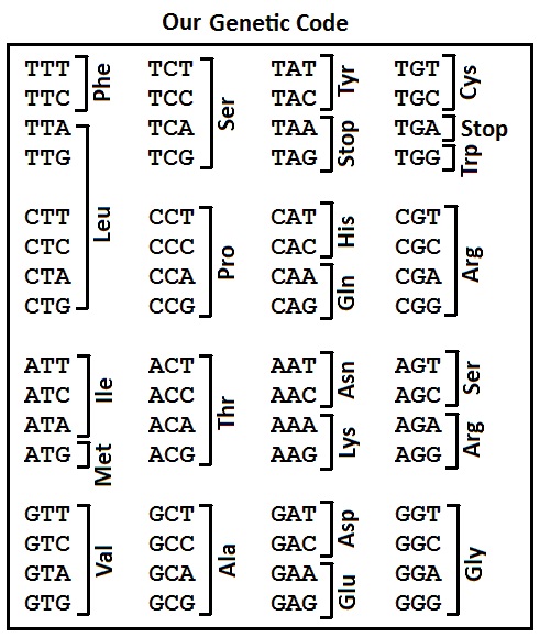 Genetic Code of Life